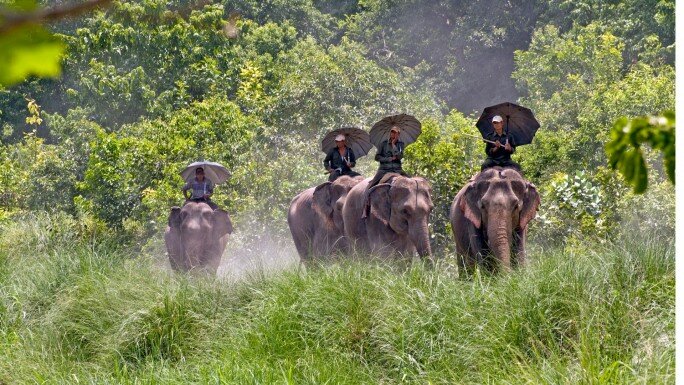 Bardiya