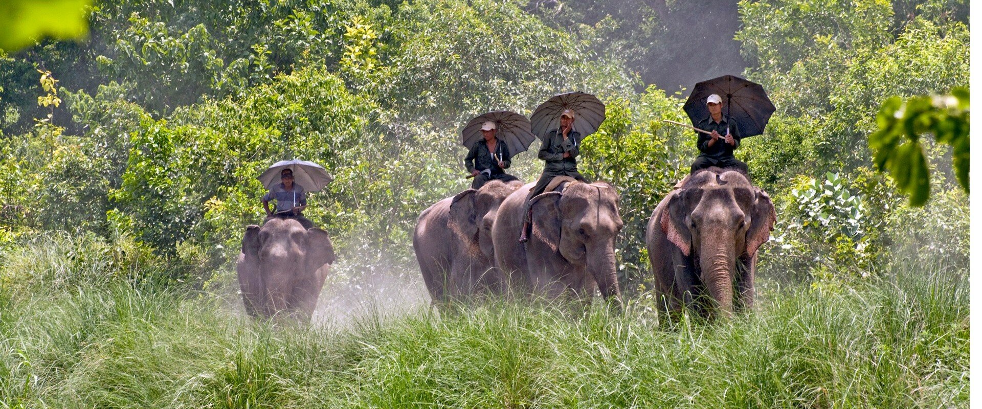 Bardiya