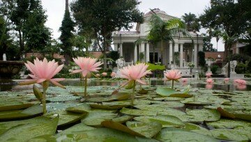 Garden of Dreams