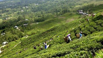 Ilam