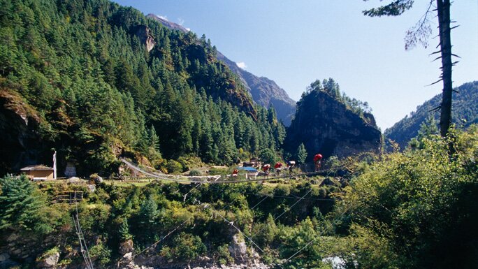 Alpine forests in the Everest region 